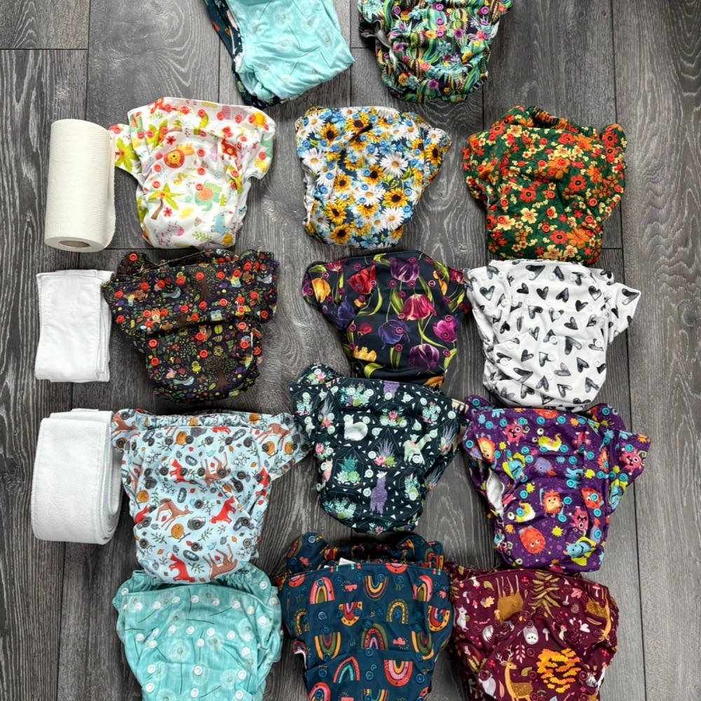 26x Smart Bottoms Dream Diaper 2.0 Snap-in Stoffwindeln