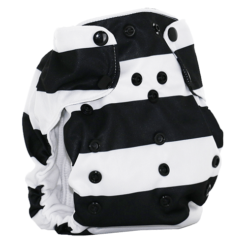 Smart Bottoms Dream Diaper 2.0 All-in-One Smart Bottoms Dream Diaper 2.0 All-in-One