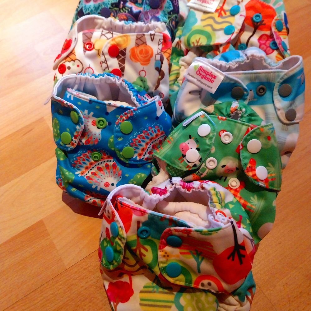 Blueberry AIO - New Born Size