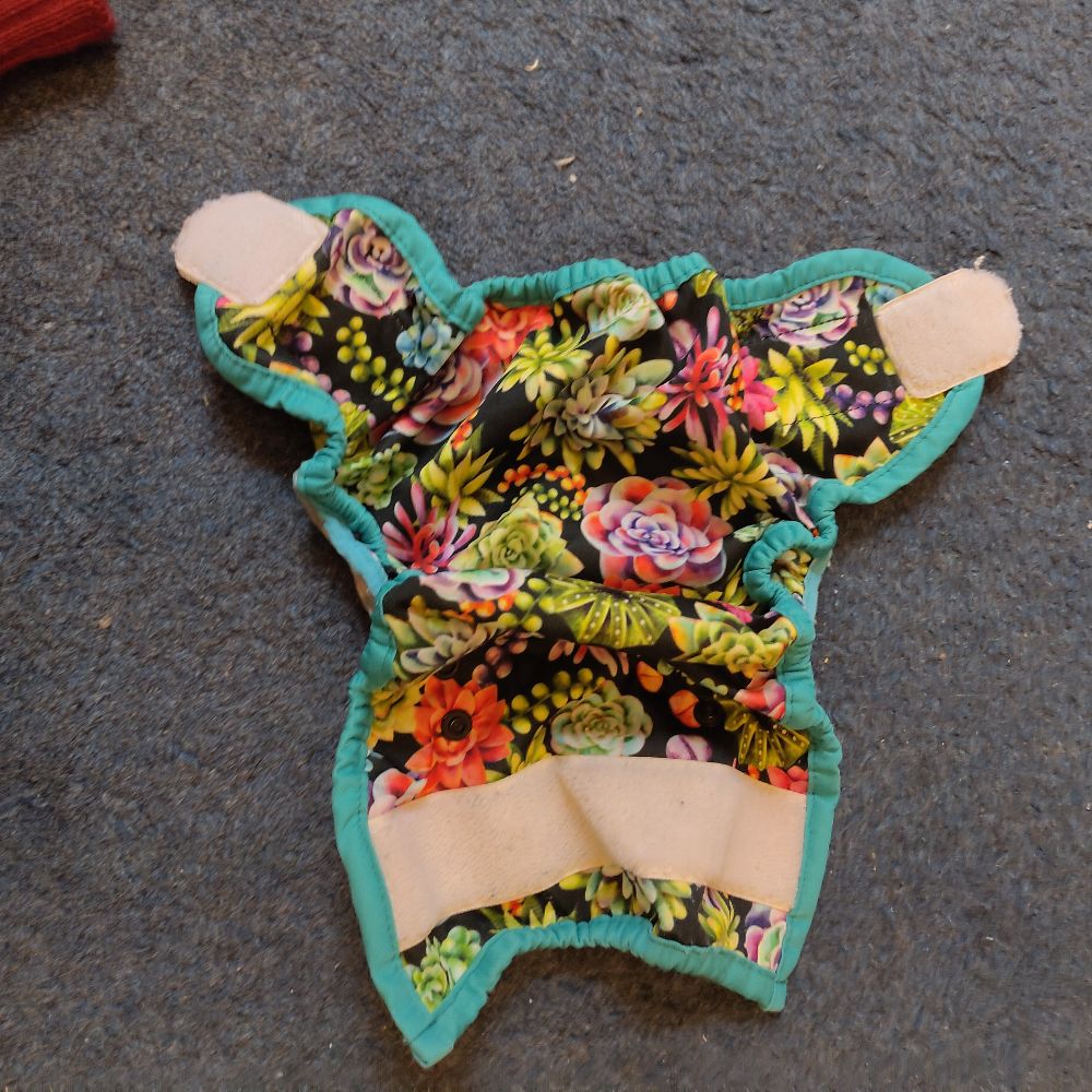 2 Newborn Überhosen Thirsties und Totsbots