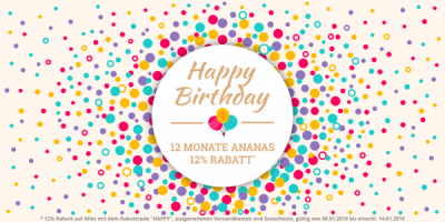 Ananas Blog Zwölf Monate